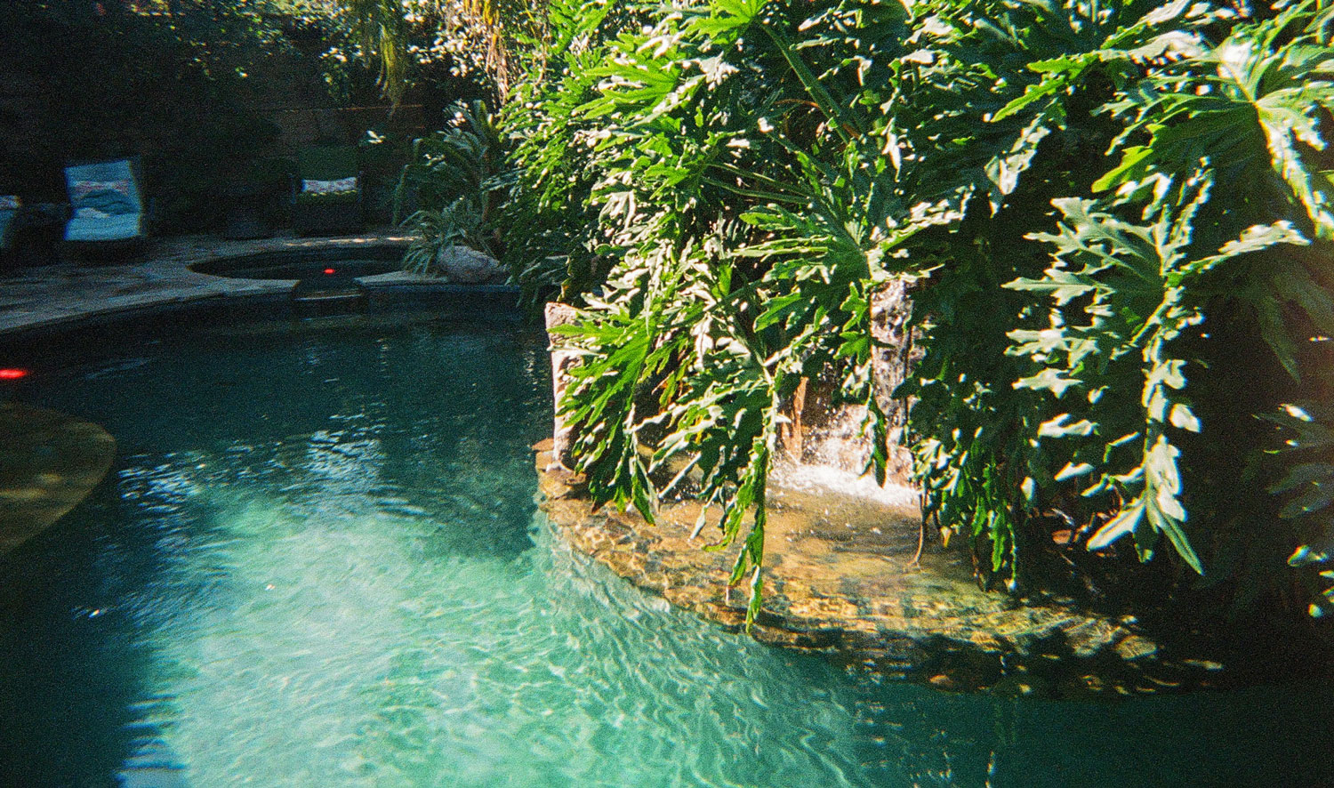 Piscine lagon entourée de plantations méditerranéennes